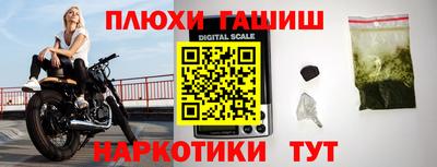 шишки Ставрополь