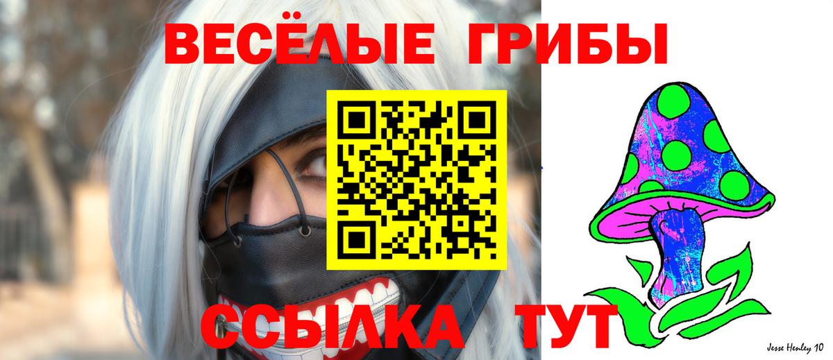 Псилоцибиновые грибы прущие грибы  Галлюциногенные грибы мицелий  Холмск  Вход с VPN 