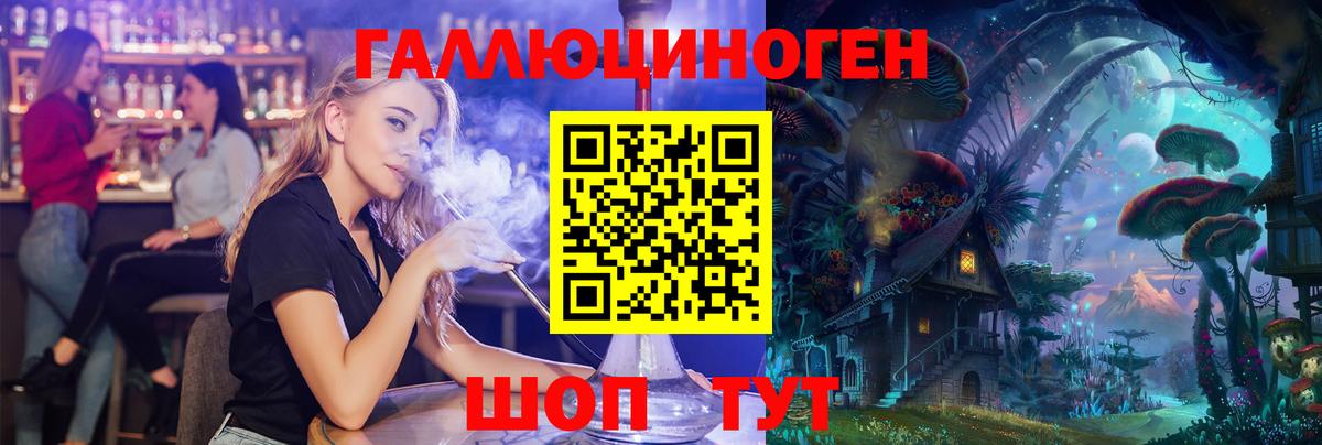 Галлюциногенные грибы Psilocybe Холмск